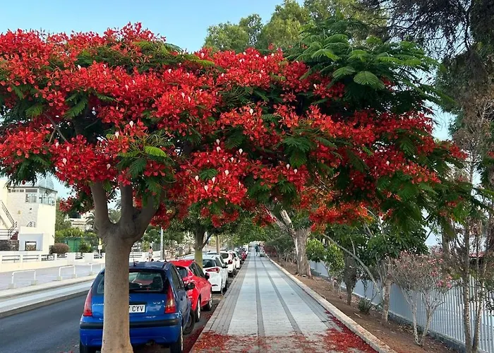 Veliero En Costa Sol M13 코스타델실렌시오