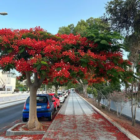 Veliero En Costa Sol M13 קוסטה דל סילנסיו